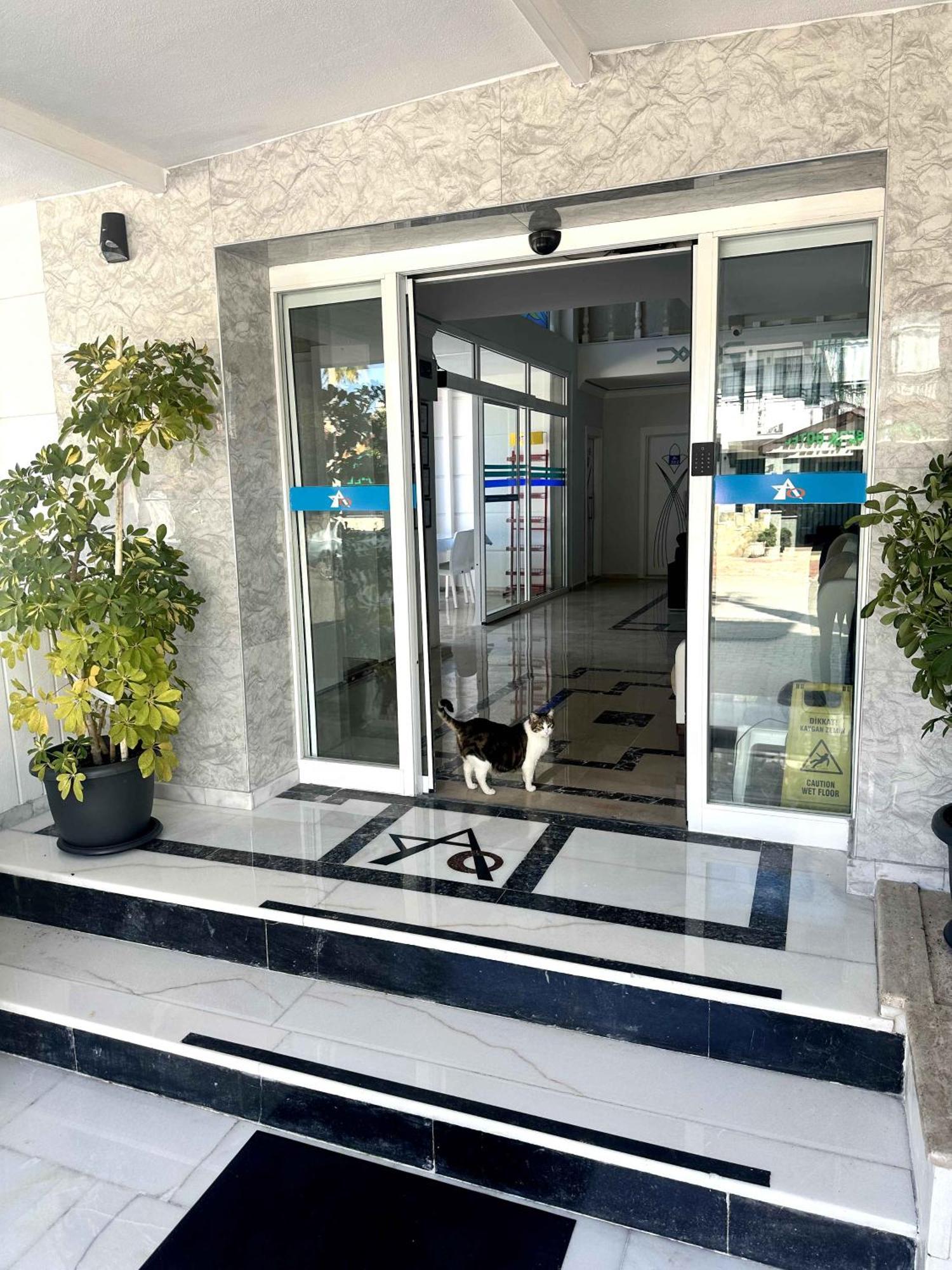 Amsterdam Otel Economic Room Kemer Ngoại thất bức ảnh